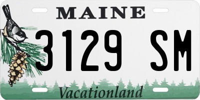 ME license plate 3129SM