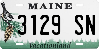 ME license plate 3129SN
