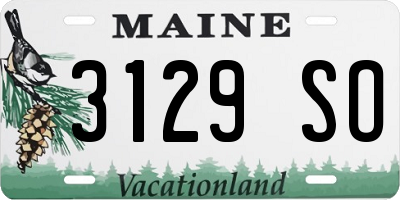 ME license plate 3129SO