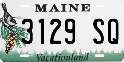 ME license plate 3129SQ