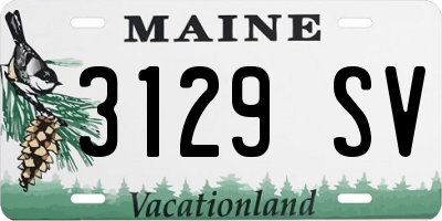 ME license plate 3129SV