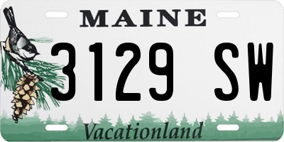 ME license plate 3129SW