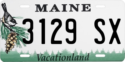 ME license plate 3129SX