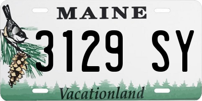 ME license plate 3129SY