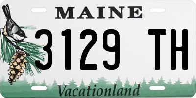 ME license plate 3129TH