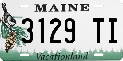 ME license plate 3129TI