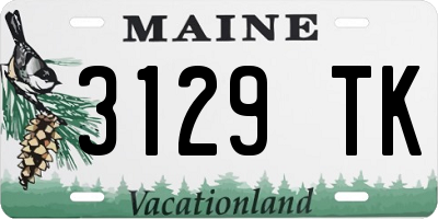 ME license plate 3129TK