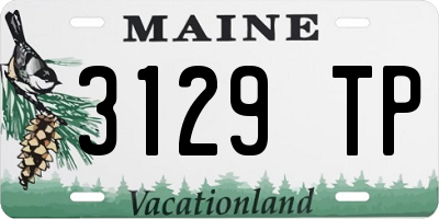 ME license plate 3129TP