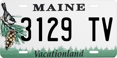 ME license plate 3129TV