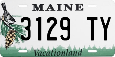 ME license plate 3129TY