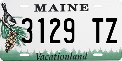 ME license plate 3129TZ