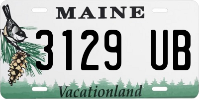 ME license plate 3129UB