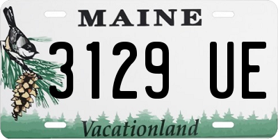 ME license plate 3129UE