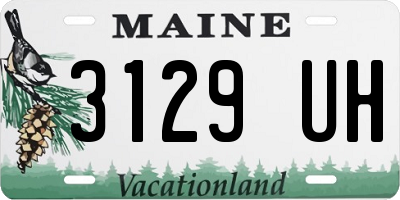 ME license plate 3129UH