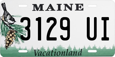 ME license plate 3129UI