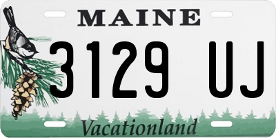 ME license plate 3129UJ