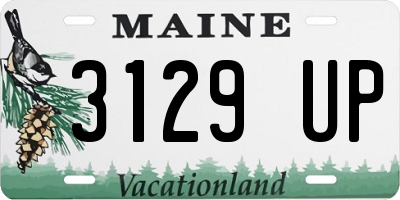ME license plate 3129UP