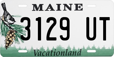 ME license plate 3129UT