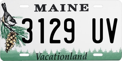 ME license plate 3129UV