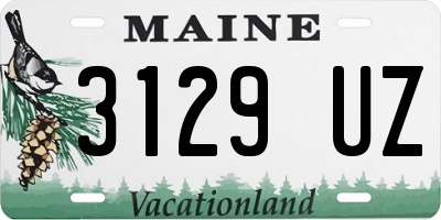 ME license plate 3129UZ