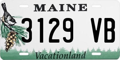 ME license plate 3129VB