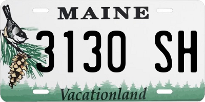ME license plate 3130SH