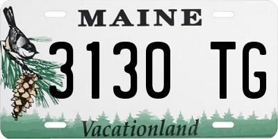 ME license plate 3130TG