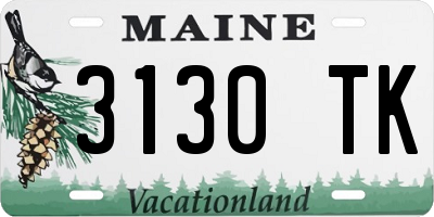 ME license plate 3130TK