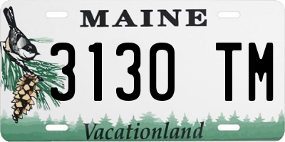 ME license plate 3130TM