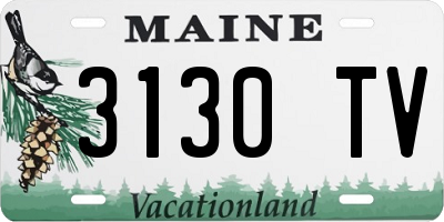ME license plate 3130TV