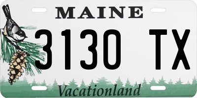 ME license plate 3130TX