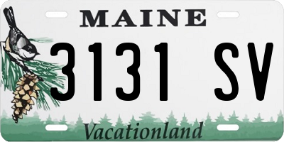 ME license plate 3131SV