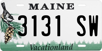 ME license plate 3131SW