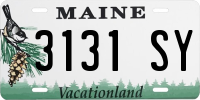 ME license plate 3131SY