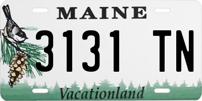 ME license plate 3131TN