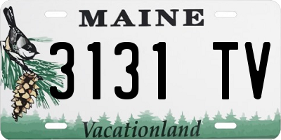 ME license plate 3131TV