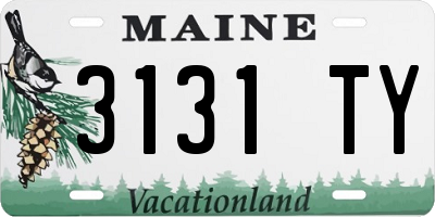 ME license plate 3131TY