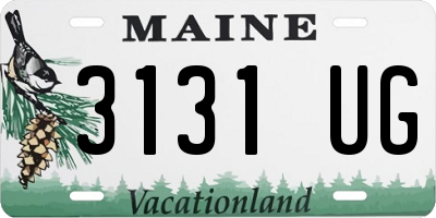 ME license plate 3131UG