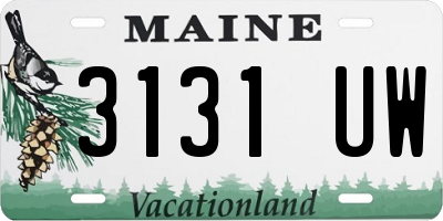 ME license plate 3131UW