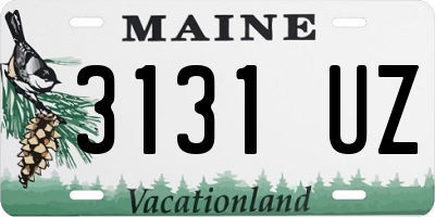 ME license plate 3131UZ