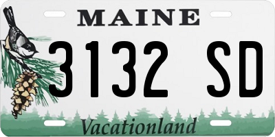 ME license plate 3132SD