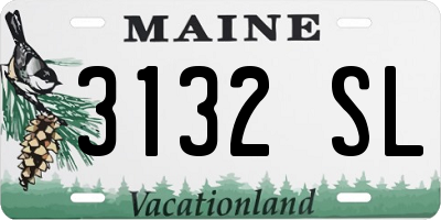 ME license plate 3132SL