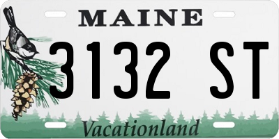 ME license plate 3132ST