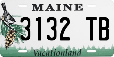 ME license plate 3132TB