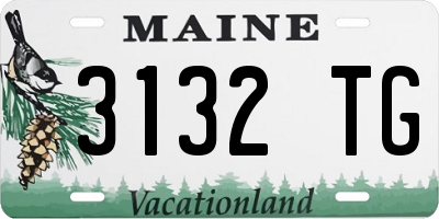 ME license plate 3132TG