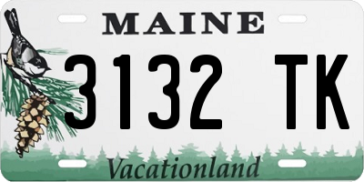 ME license plate 3132TK