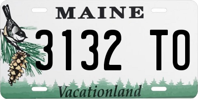 ME license plate 3132TO