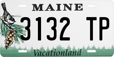 ME license plate 3132TP
