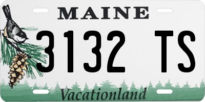 ME license plate 3132TS