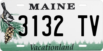 ME license plate 3132TV